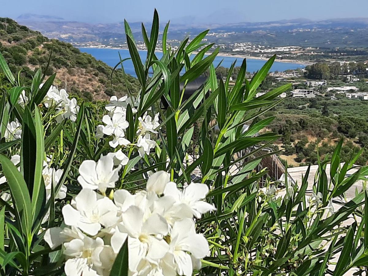 Aloe Villa Chania Crete Georgioupoli Exteriér fotografie