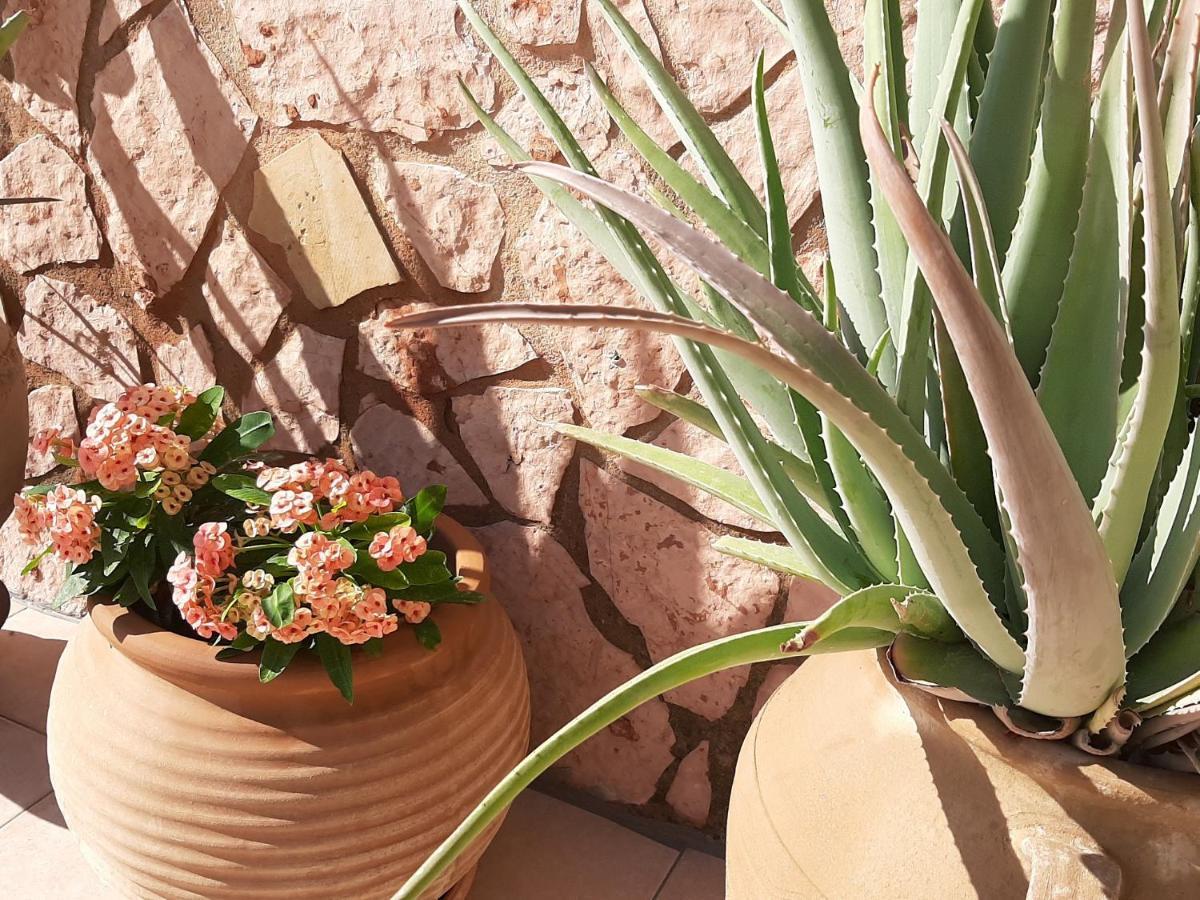 Aloe Villa Chania Crete Georgioupoli Exteriér fotografie
