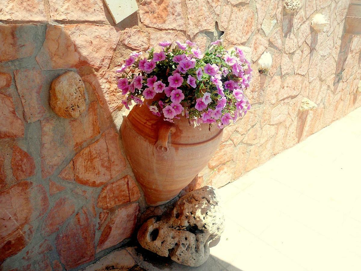 Aloe Villa Chania Crete Georgioupoli Exteriér fotografie